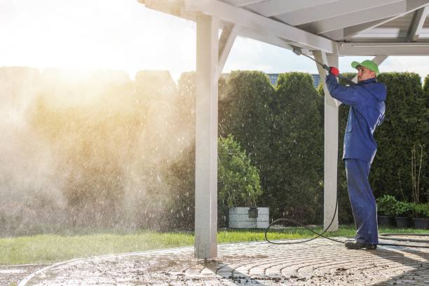 Best Driveway Pressure Washing  in Carrollton, OH